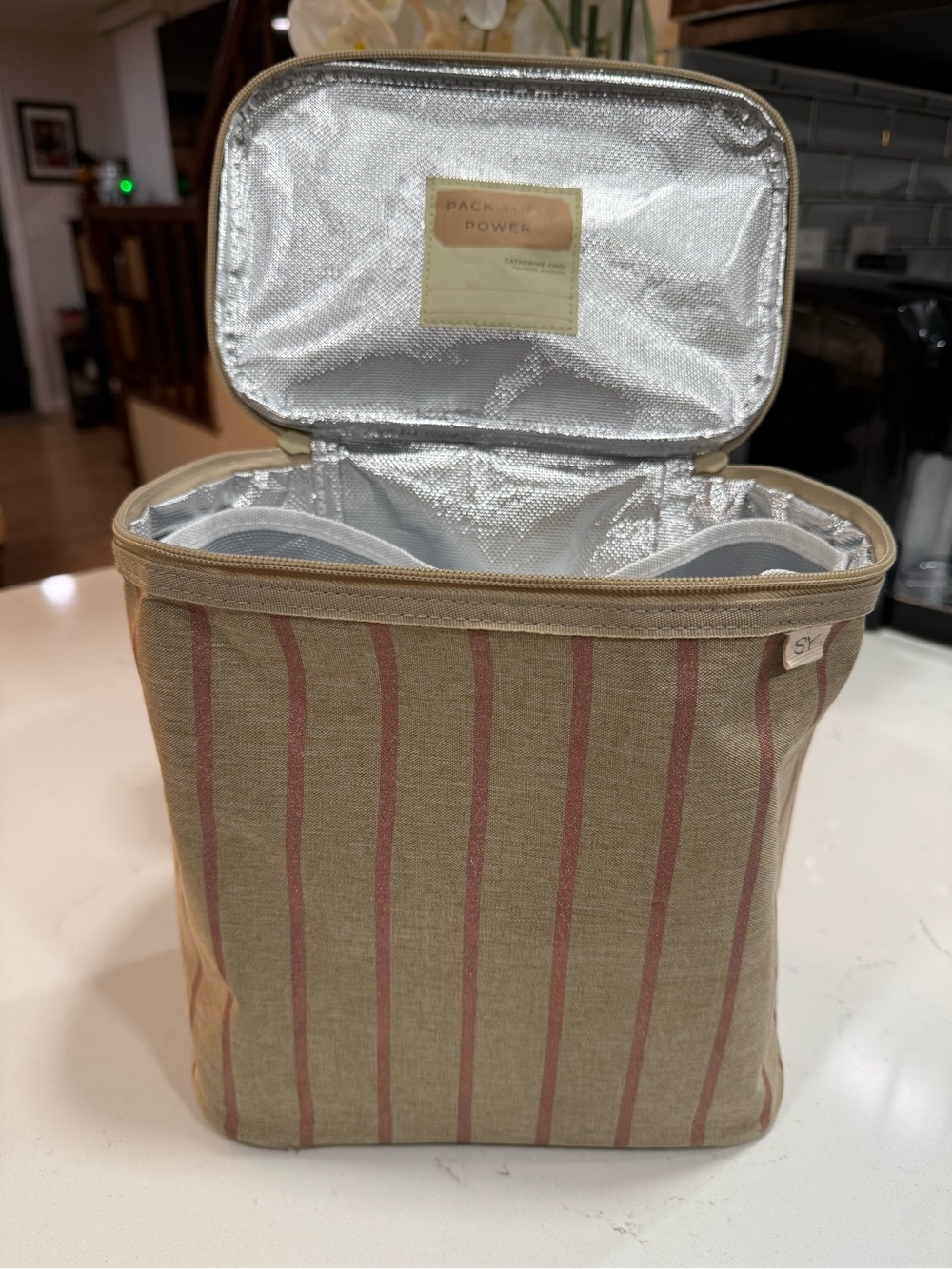 Nourish by SoYoung Lunch Bag - Picture 3 of 9